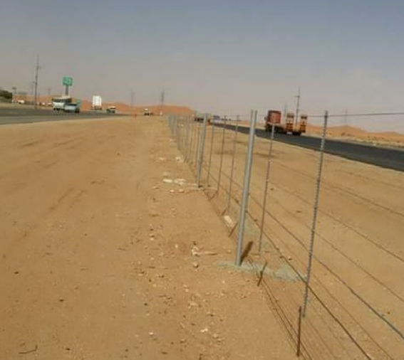 شبوك مزارع جدة