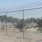 شبوك مزارع جدة