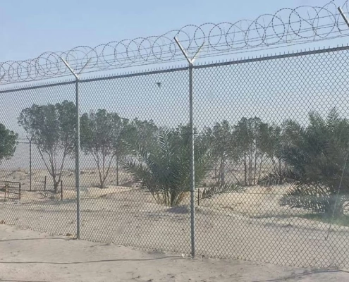 شبوك مزارع جدة