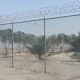شبوك مزارع جدة