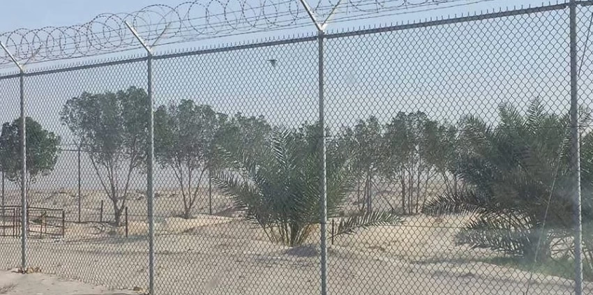شبوك مزارع جدة