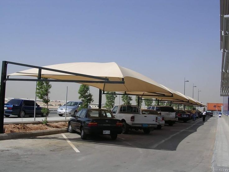 المؤسسات والشركات